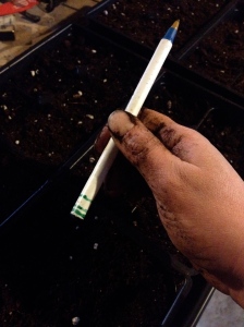 This pen is marked with 1/8", 1/4", and 1/2" so I can easily control how deep my seeds are planted.